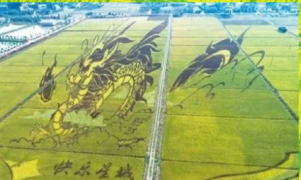 八年级历史上册 第八单元 近代经济、社会生活与教育文化事业的发展 第27课 活动课：考察近代历史遗迹课件 新人教版 课件