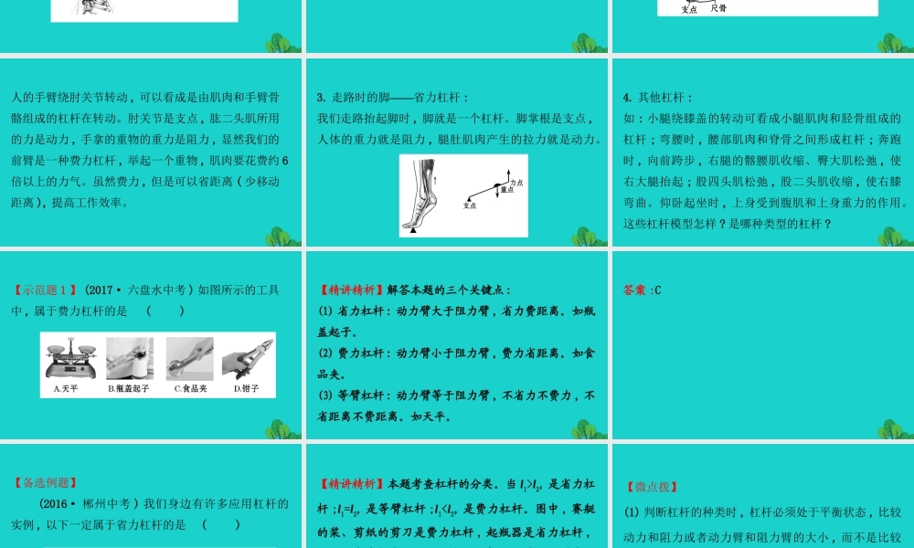 八年级物理全册 第十章 第一节 科学探究：杠杆的平衡条件(第2课时)习题课件 (新版)沪科版 课件