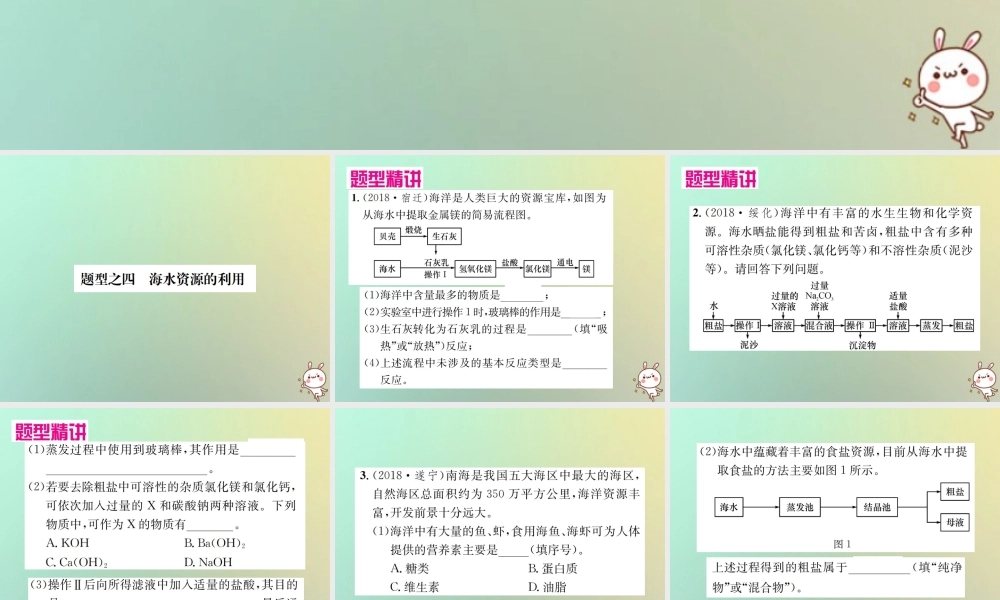 中考化学复习 题型复习(三)流程图 题型之四 海水资源的利用课件