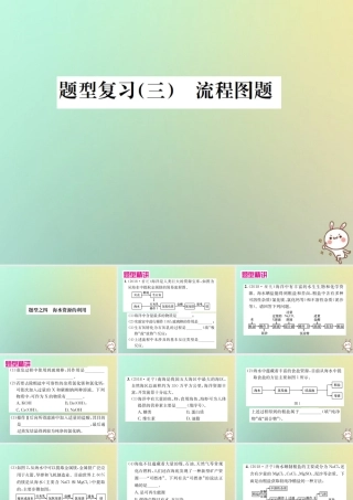 中考化学复习 题型复习(三)流程图 题型之四 海水资源的利用课件
