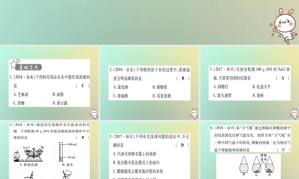 中考化学准点备考复习 第一部分 教材系统复习 第9讲 溶液复习作业课件 新人教版 课件