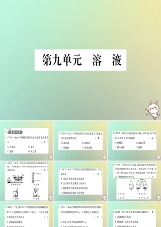 中考化学准点备考复习 第一部分 教材系统复习 第9讲 溶液复习作业课件 新人教版 课件