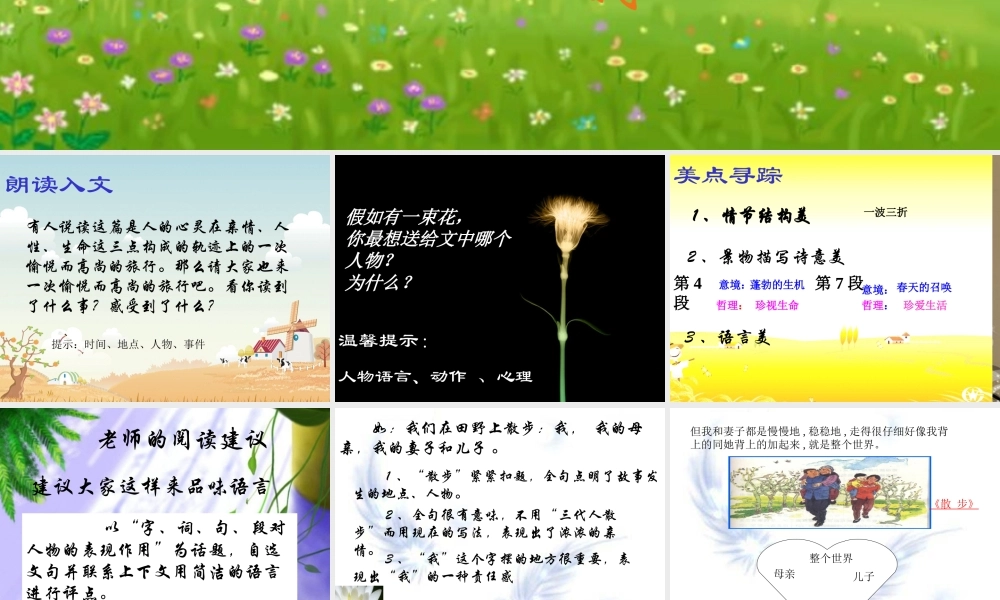 七年级语文上册 第五单元(散步)课件 人教新课标版 课件