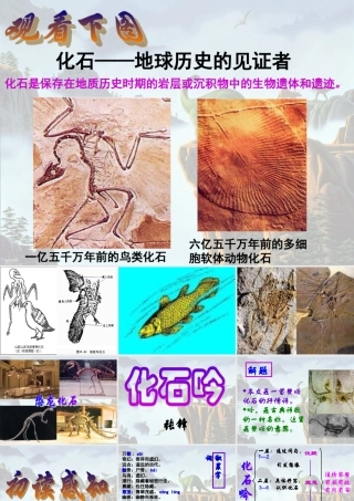 七年级语文第四单元化石吟课件