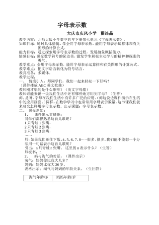 字母表示数（翟连晶）