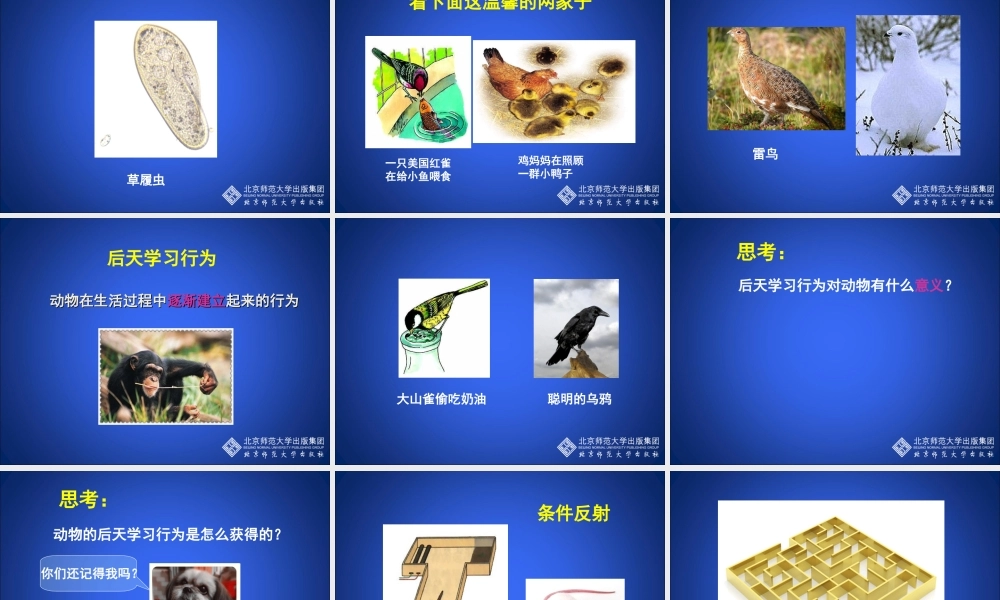 先天性行为和后天学习行为