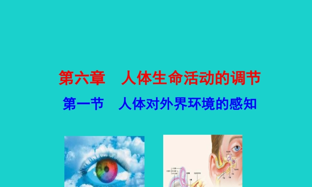 七年级生物下册 4.6.1 人体对外界环境的感知课件 七年级生物下册 4.6.1 人体对外界环境的感知课件+素材(新版)新人教版