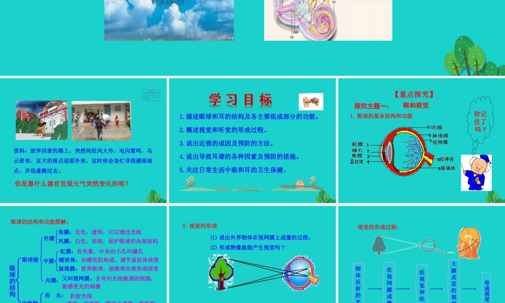 七年级生物下册 4.6.1 人体对外界环境的感知课件 七年级生物下册 4.6.1 人体对外界环境的感知课件+素材(新版)新人教版