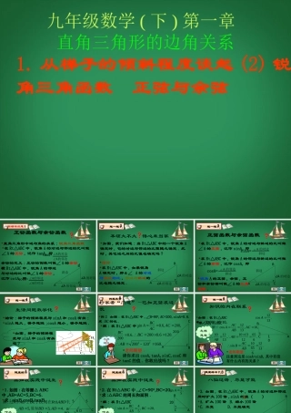 九年级数学下册(11 从梯子的倾斜程度谈起(2)锐角三角函数 正弦与余弦)课件2 北师大版 课件