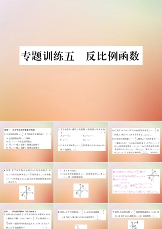 九年级数学上册 第6章 反比例函数 专题训练五 反比例函数作业课件 (新版)北师大版 课件