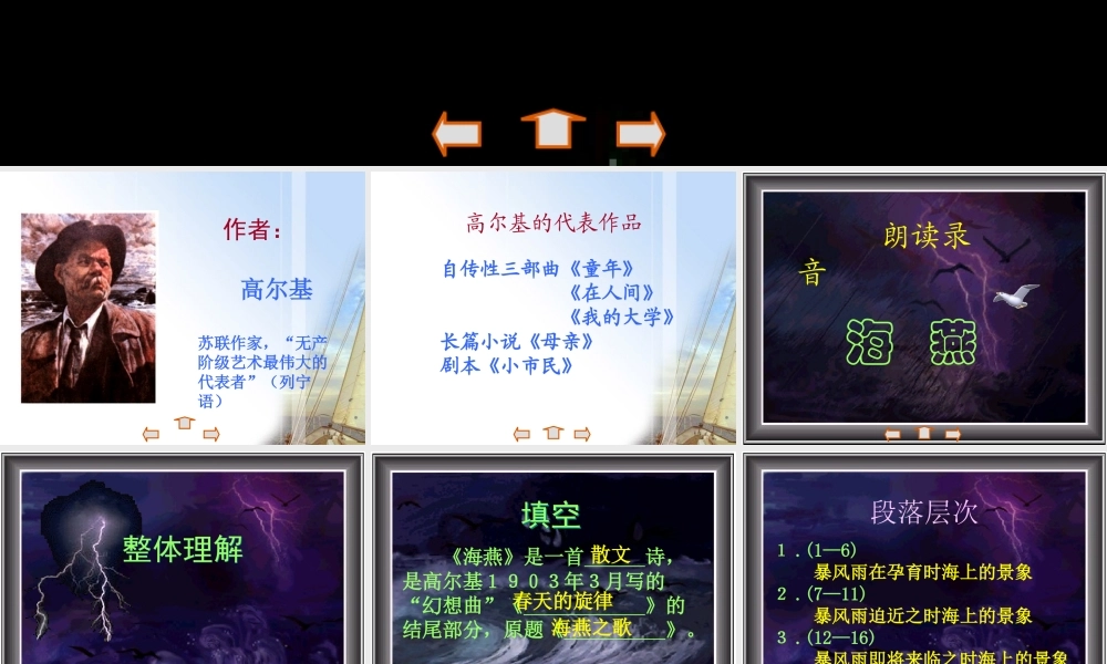 八年级语文下册 第1课(海燕)课件 苏教版 课件