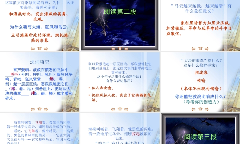 八年级语文下册 第1课(海燕)课件 苏教版 课件