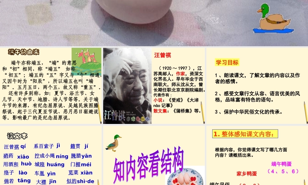 八年级语文(端午的鸭蛋)课件