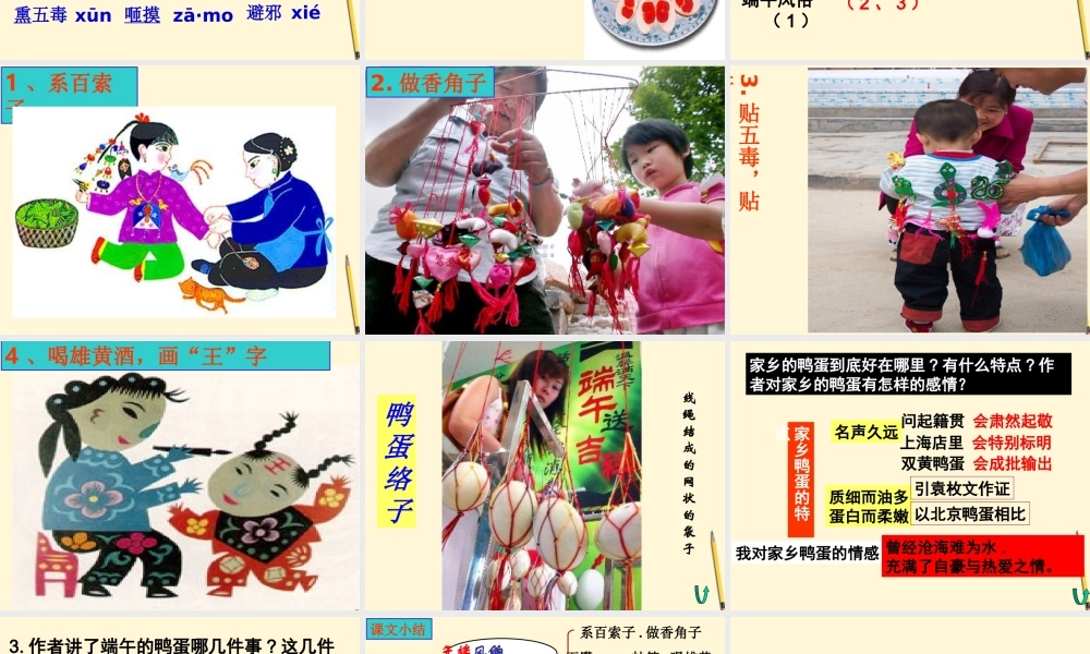 八年级语文(端午的鸭蛋)课件