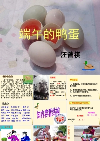 八年级语文(端午的鸭蛋)课件
