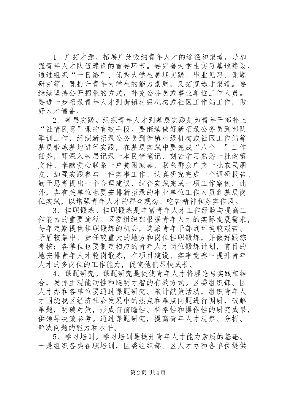 青年人才能力提升工作计划_第2页
