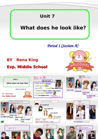 七年级英语下册 What does he look like课件 人教新目标版 课件