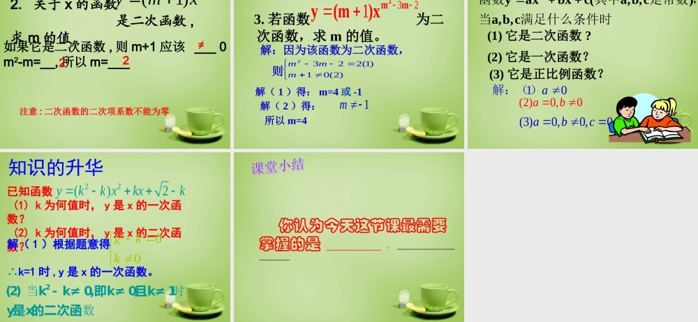九年级数学上册 2211 二次函数课件3 (新版)新人教版 课件