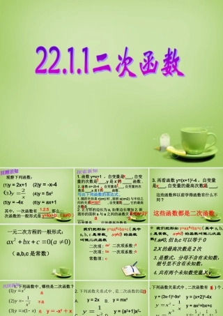 九年级数学上册 2211 二次函数课件3 (新版)新人教版 课件