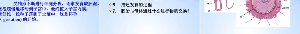 八年级生物上册 第二节 人的生殖课件 鲁科版 课件