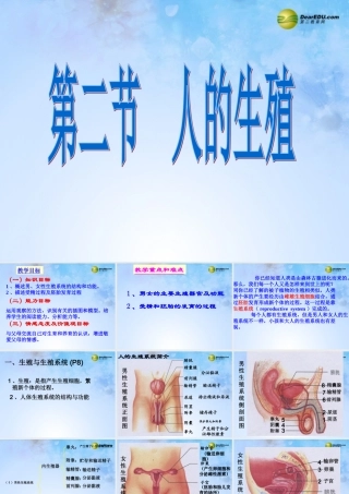 八年级生物上册 第二节 人的生殖课件 鲁科版 课件