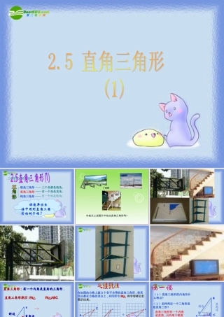 八年级数学上册 2.5直角三角形(第1课时)课件 浙教版 课件