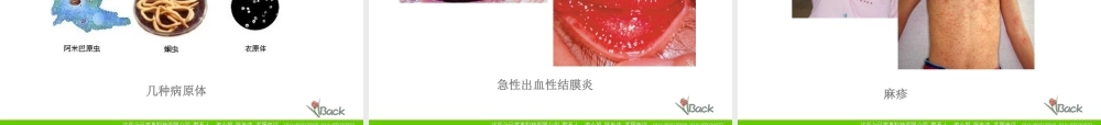 传染病及其预防 八年级生物下第八单元健康地生活第一章第一节传染病及其预防课件人教版 八年级生物下第八单元健康地生活第一章第一节传染病及其预防课件人教版