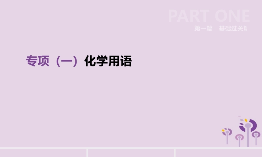 中考化学复习 第一篇 基础过关篇 专项01 化学用语课件