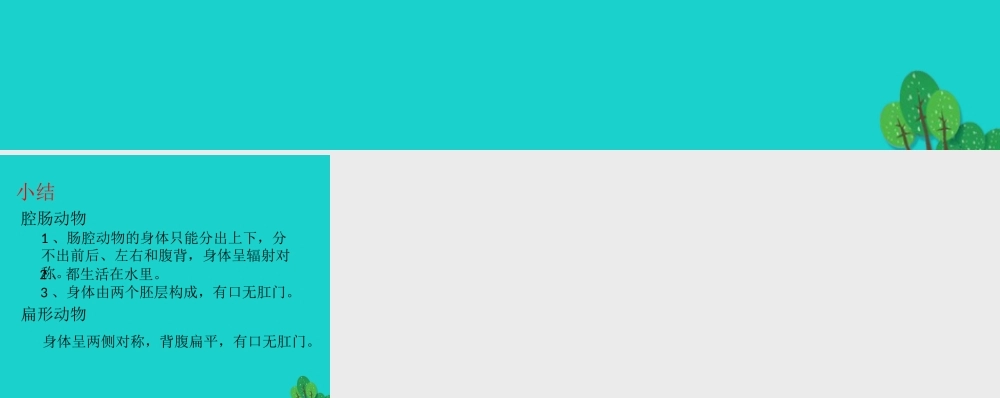 八年级生物上册 第七单元 第一章 第一节 腔肠动物和扁形动物小结课件 鲁科版五四制 课件