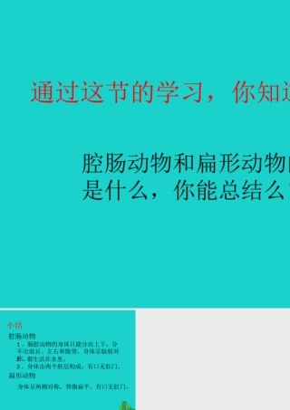 八年级生物上册 第七单元 第一章 第一节 腔肠动物和扁形动物小结课件 鲁科版五四制 课件