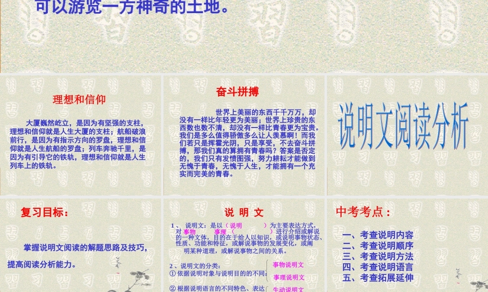 说明文阅读分析