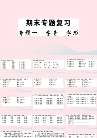文下册 专题一 字音 字形习题课件 新人教版 课件