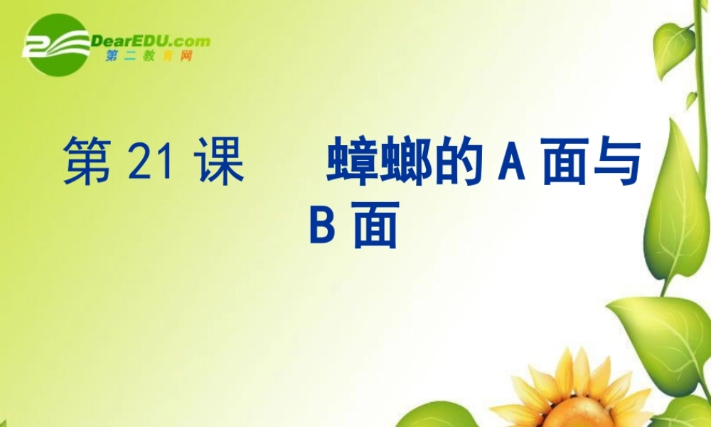 九年级语文下册第四单元21(蟑螂的A面与B面)课件上海五四制版 课件