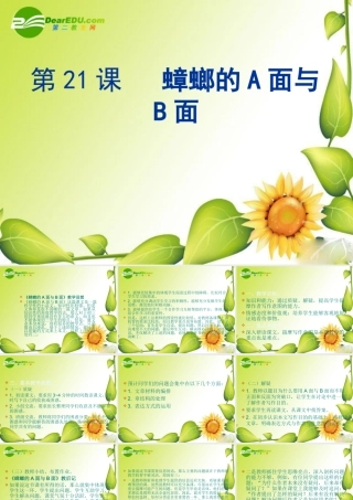 九年级语文下册第四单元21(蟑螂的A面与B面)课件上海五四制版 课件