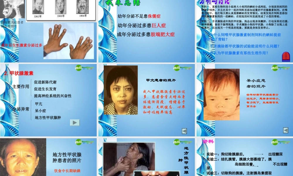 七年级生物下册 (人体的激素调节)课件 济南版 课件