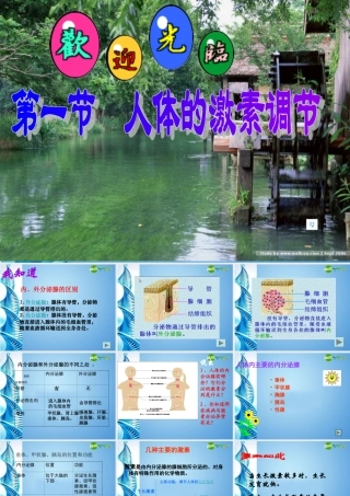 七年级生物下册 (人体的激素调节)课件 济南版 课件