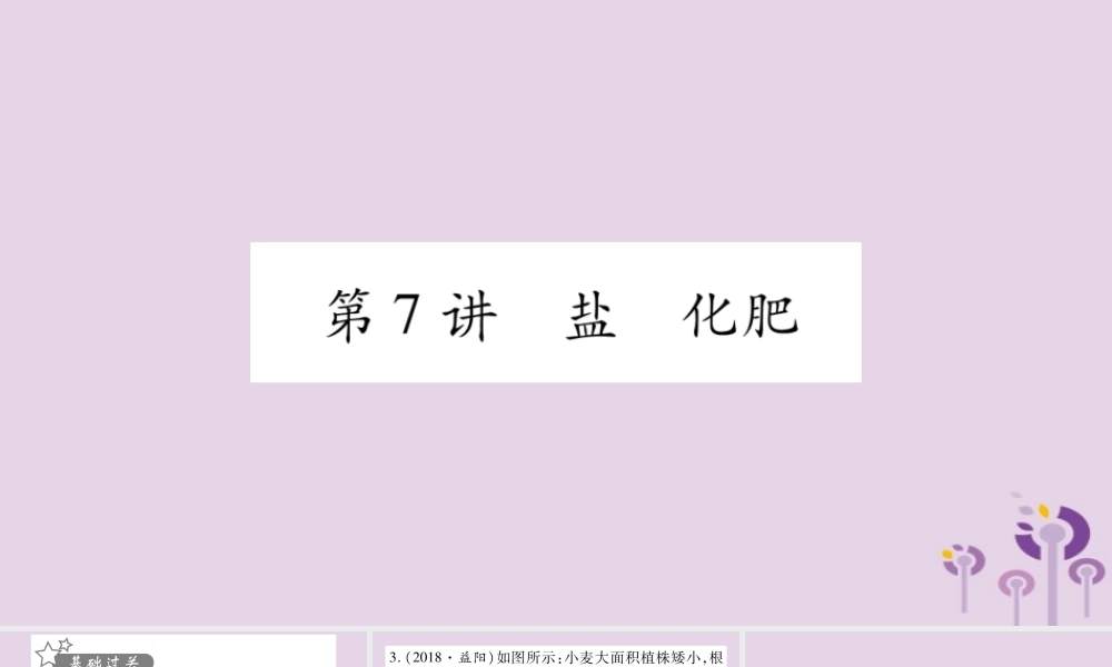 中考化学复习 第一部分 基础知识 第一单元 常见的物质 第7讲 盐 化肥(精练)课件