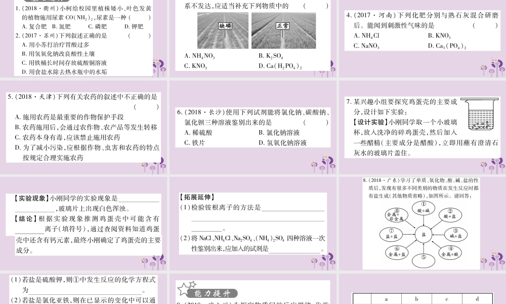 中考化学复习 第一部分 基础知识 第一单元 常见的物质 第7讲 盐 化肥(精练)课件
