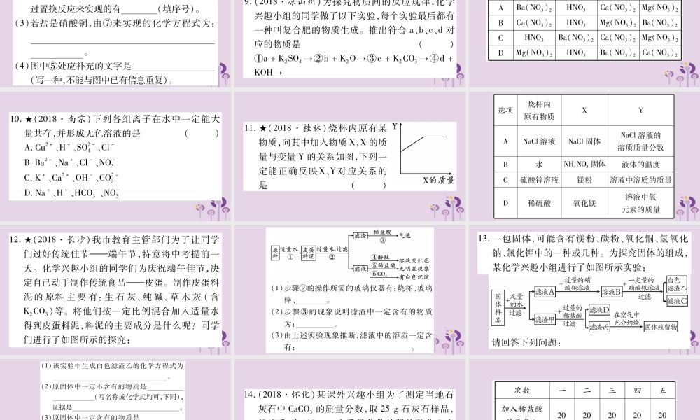 中考化学复习 第一部分 基础知识 第一单元 常见的物质 第7讲 盐 化肥(精练)课件