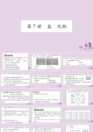中考化学复习 第一部分 基础知识 第一单元 常见的物质 第7讲 盐 化肥(精练)课件