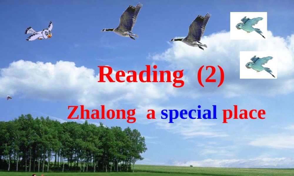 八年级英语上册 unit5 阅读课件 牛津版 课件