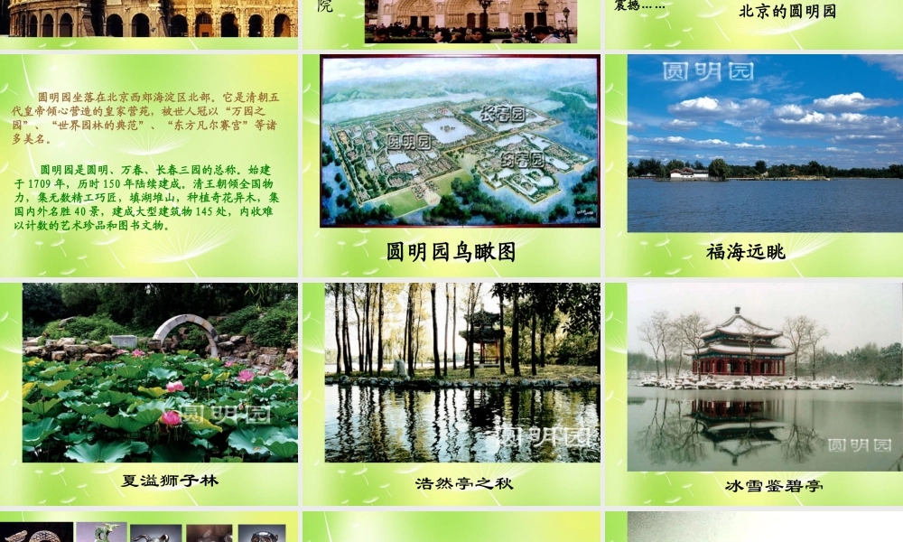 八年级语文上册 4 就英法联军远征中国给巴特勒上尉的信课件 新人教版 课件