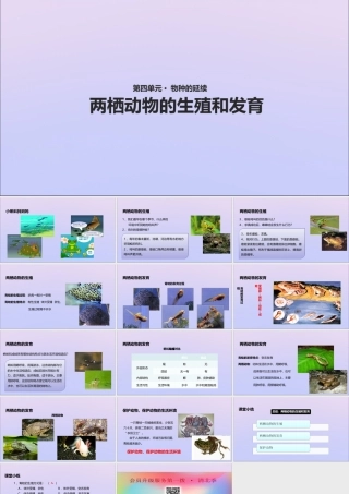 八年级生物上册 第四单元 物种的延续 第二章 动物的生殖和发育 第二节 两栖动物的生殖和发育课件(新版)济南版 课件