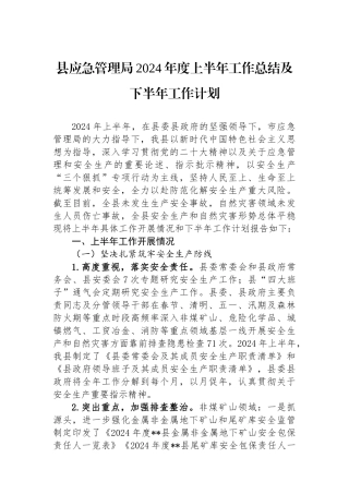 县应急管理局2024年度上半年工作总结及下半年工作计划