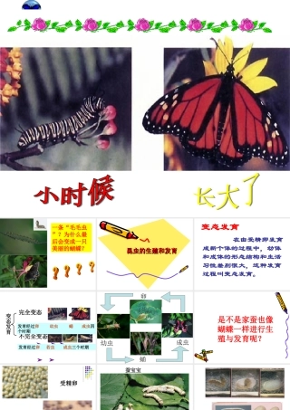 八年级生物：第二节 昆虫的生殖和发育课件人教版 课件