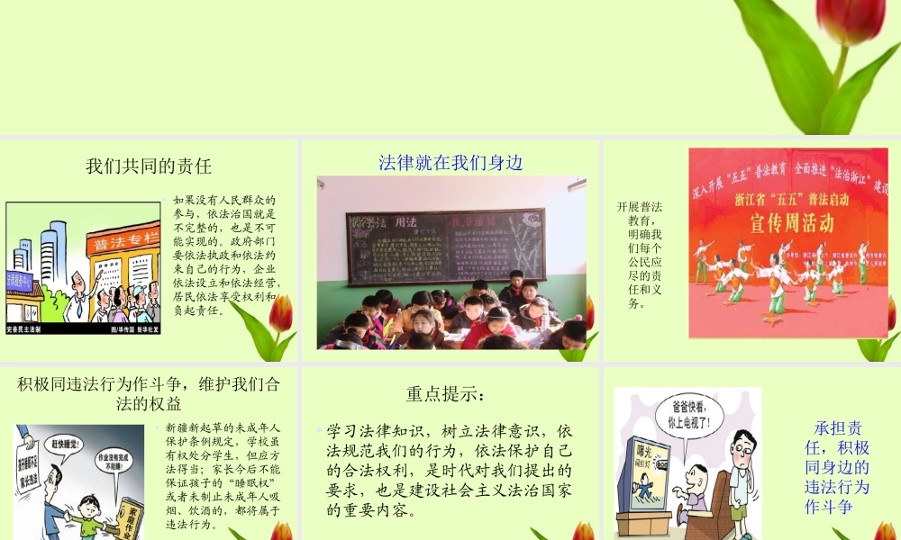 九年级政治 第八课第四框我们共同的责任课件 人民版 课件