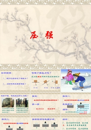 人教版初三物理总复习课件 压强 课件