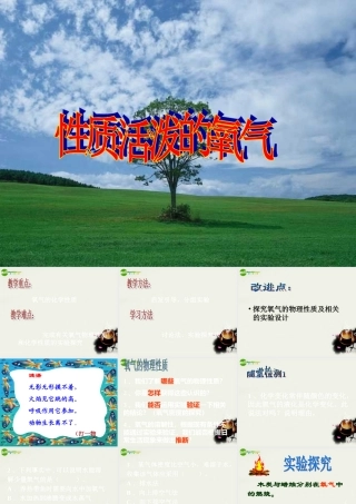 九年级政治 性质活泼的氧气课件2 沪教版 课件