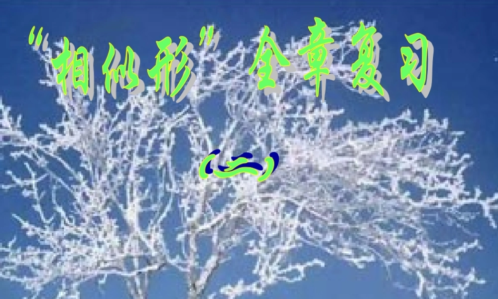 相似形全章复习3[1]