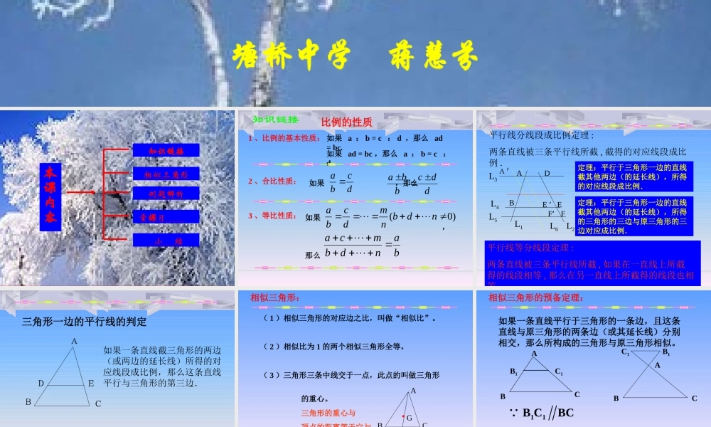 相似形全章复习3[1]